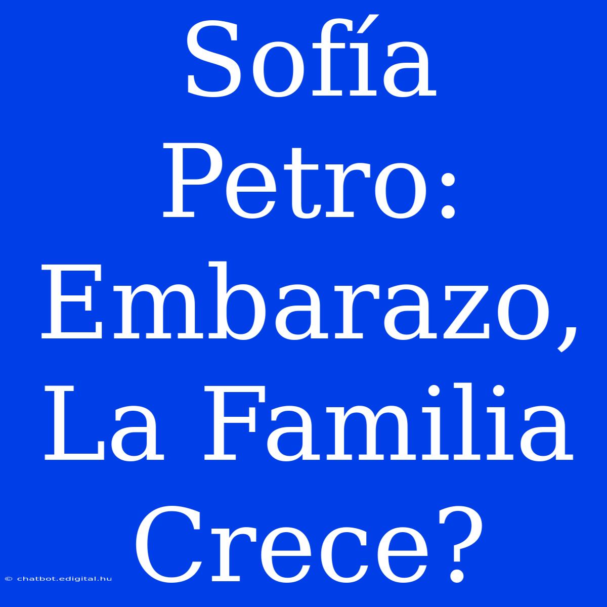 Sofía Petro: Embarazo, La Familia Crece? 