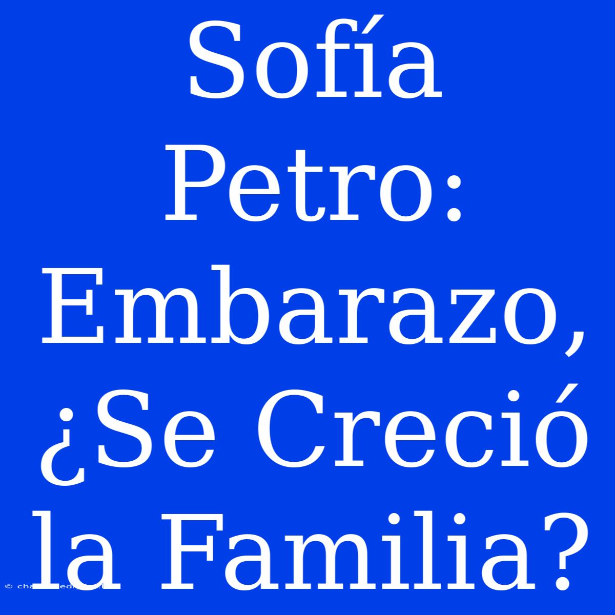 Sofía Petro: Embarazo, ¿Se Creció La Familia?