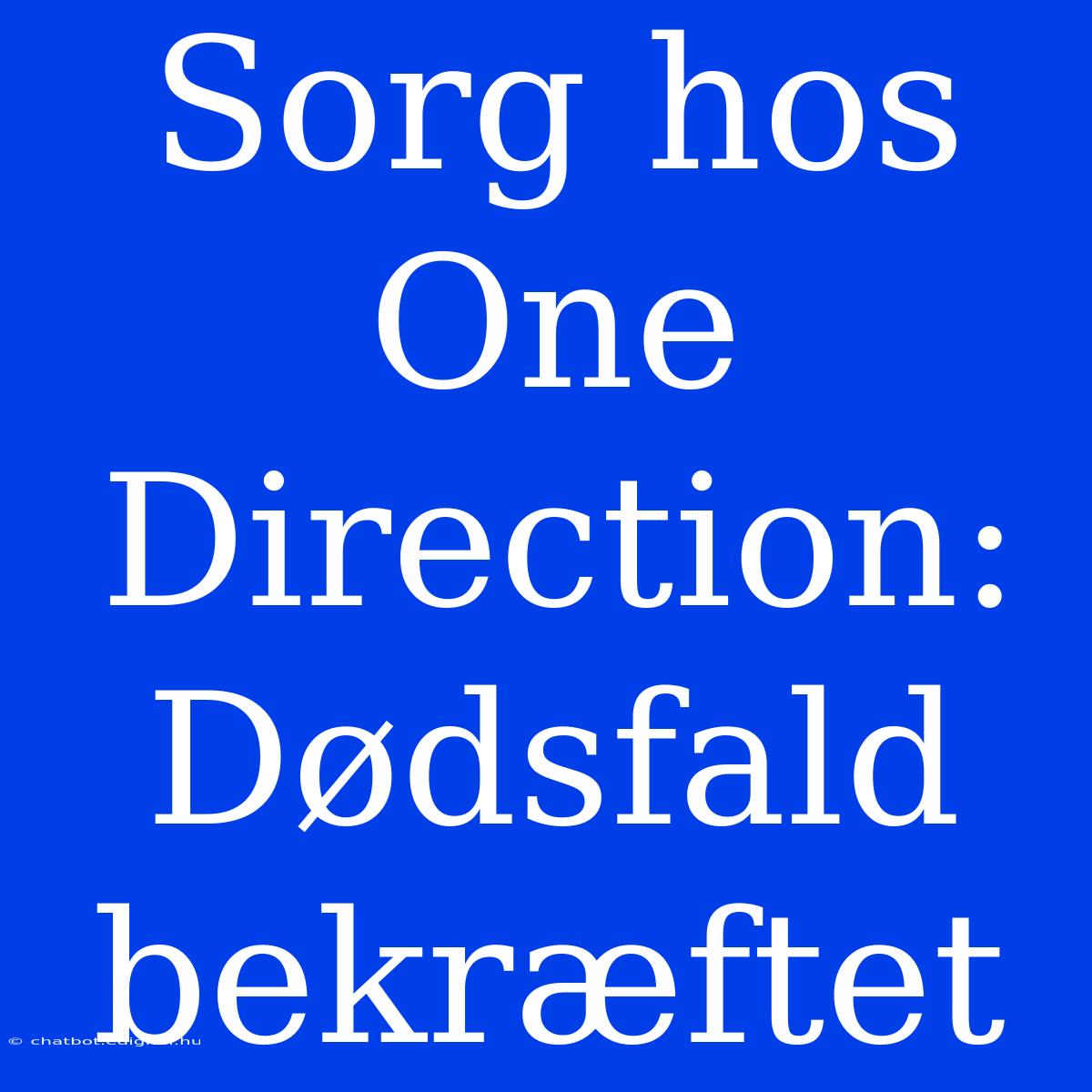 Sorg Hos One Direction: Dødsfald Bekræftet