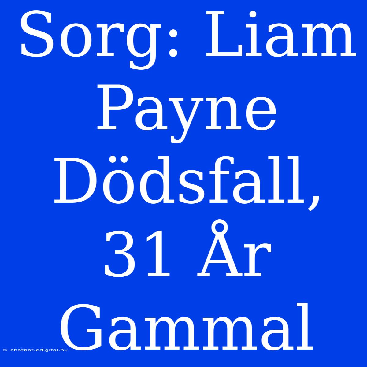 Sorg: Liam Payne Dödsfall, 31 År Gammal