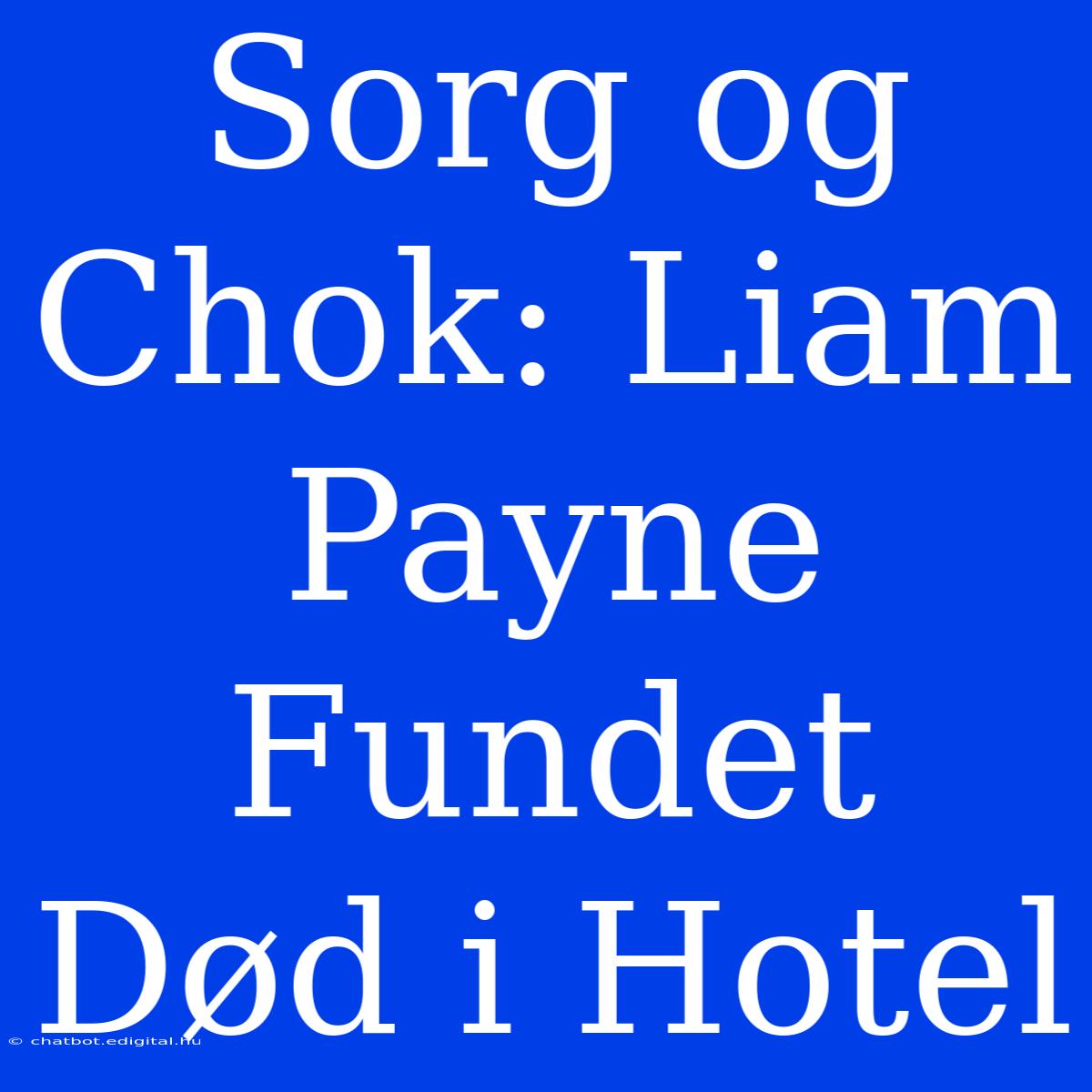 Sorg Og Chok: Liam Payne Fundet Død I Hotel