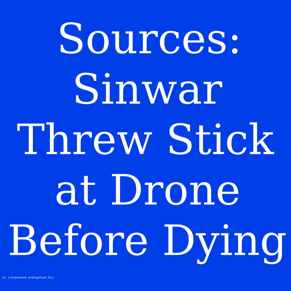 Sources: Sinwar Threw Stick At Drone Before Dying