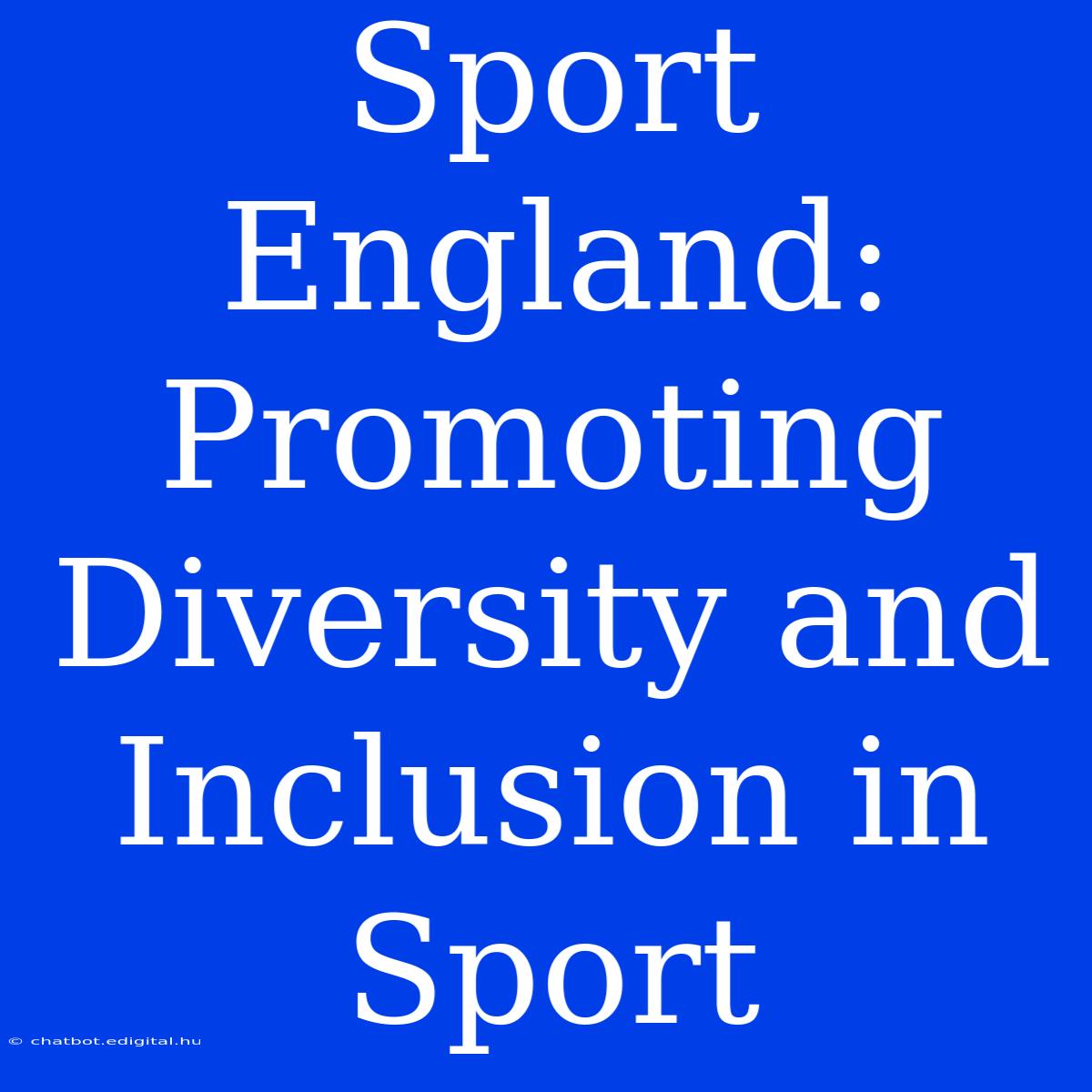 Sport England:  Promoting Diversity And Inclusion In Sport 