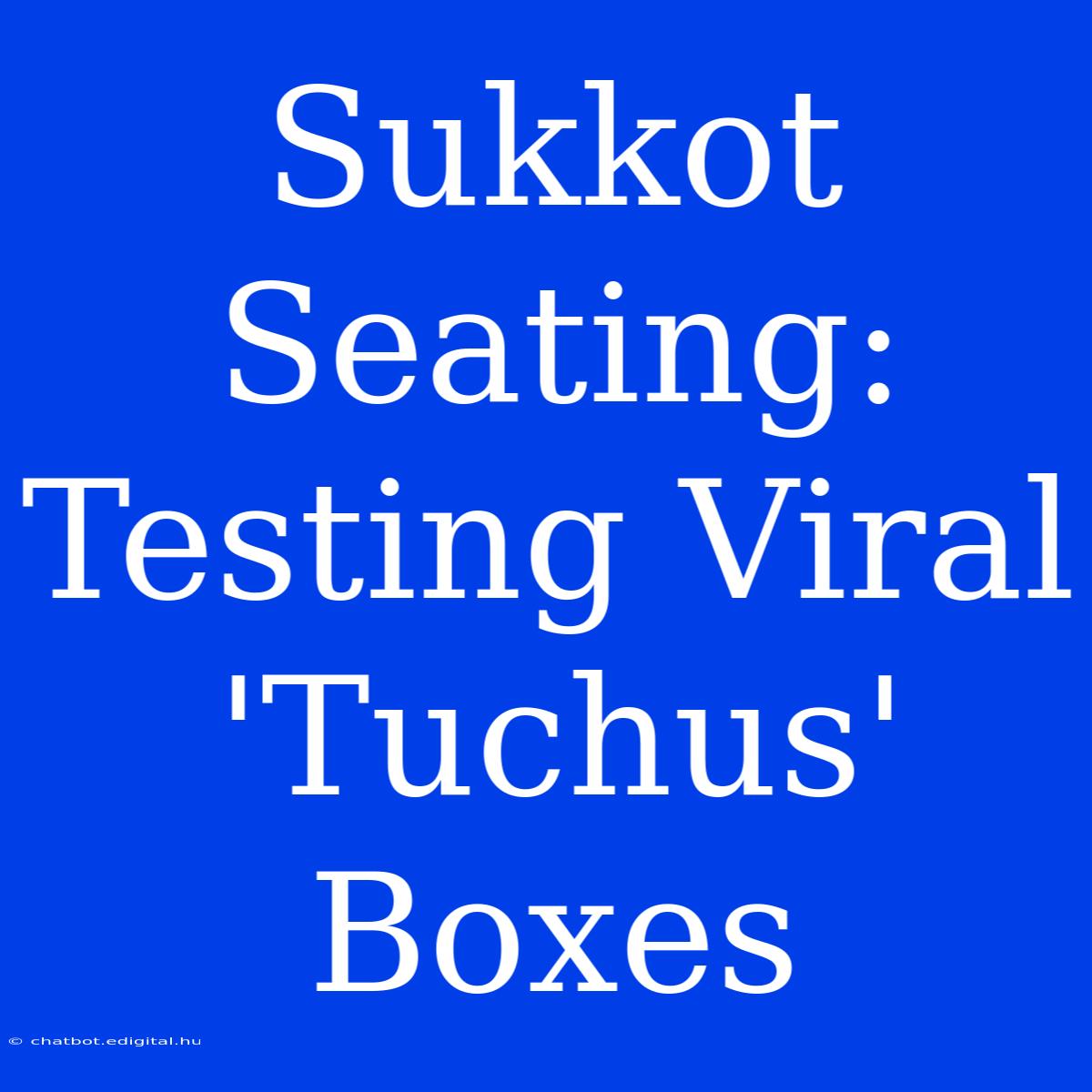 Sukkot Seating: Testing Viral 'Tuchus' Boxes 