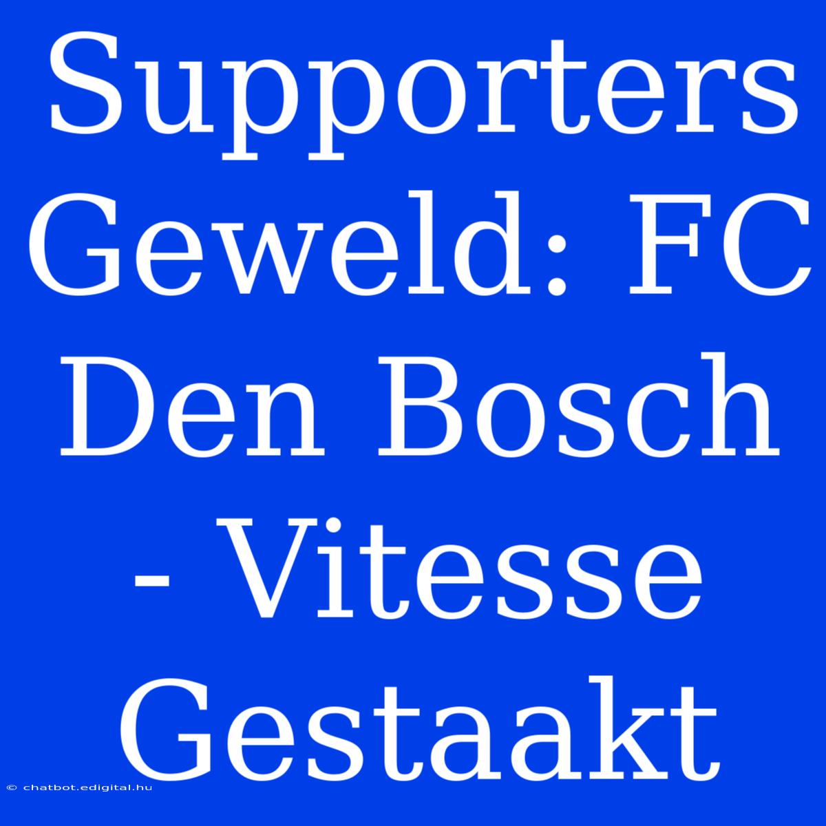 Supporters Geweld: FC Den Bosch - Vitesse Gestaakt