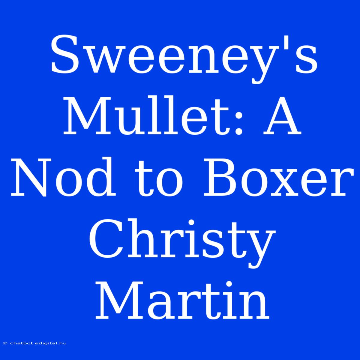 Sweeney's Mullet: A Nod To Boxer Christy Martin