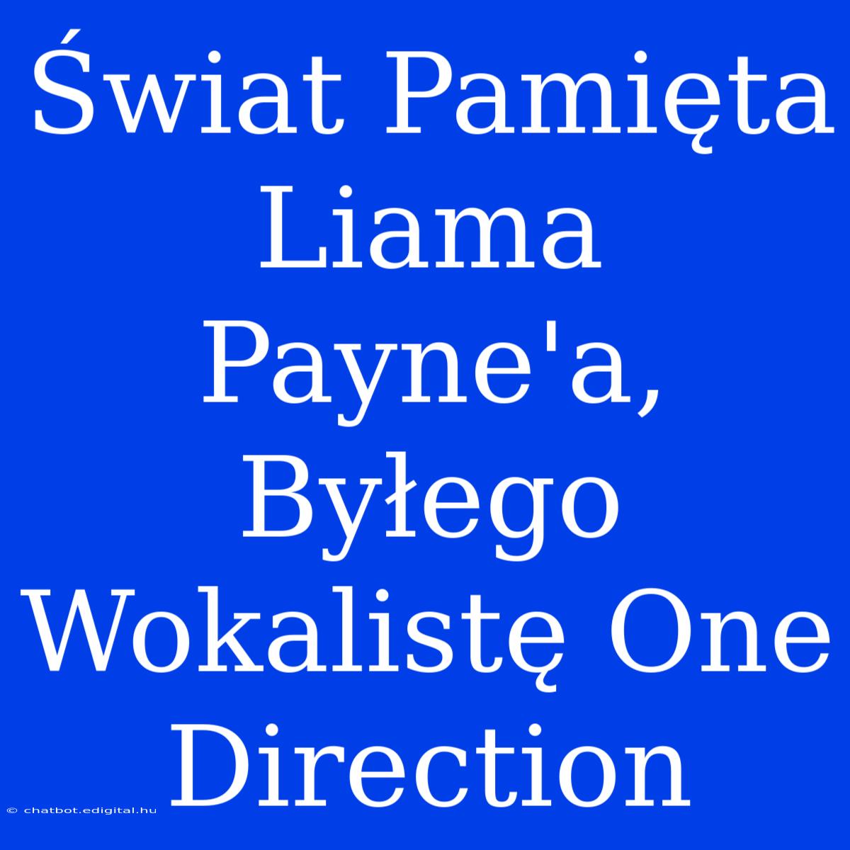 Świat Pamięta Liama Payne'a, Byłego Wokalistę One Direction