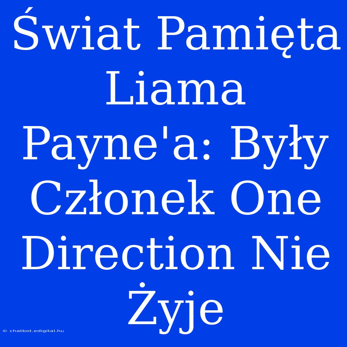 Świat Pamięta Liama Payne'a: Były Członek One Direction Nie Żyje