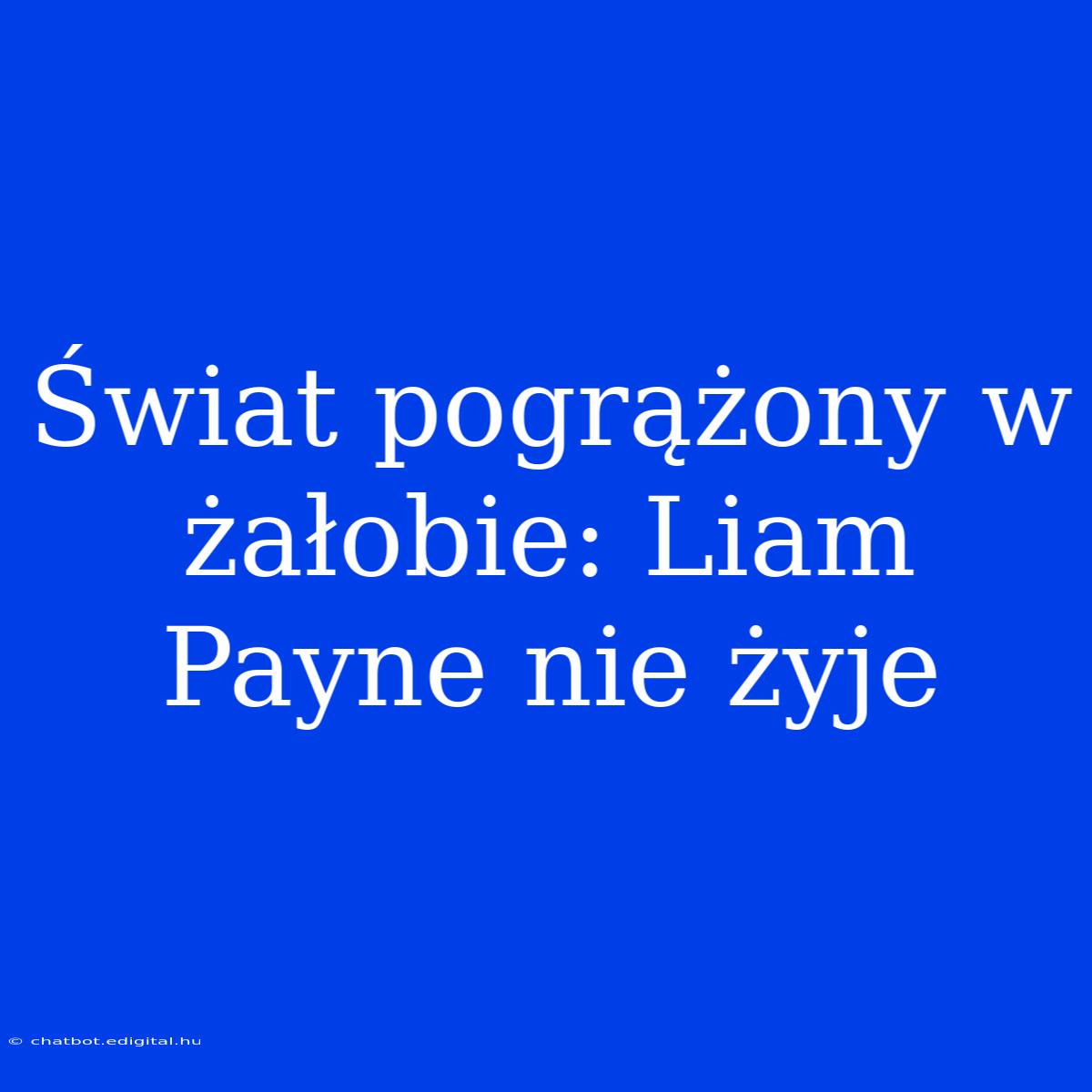 Świat Pogrążony W Żałobie: Liam Payne Nie Żyje