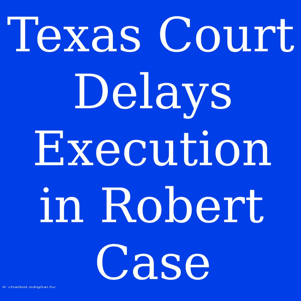 Texas Court Delays Execution In Robert Case 