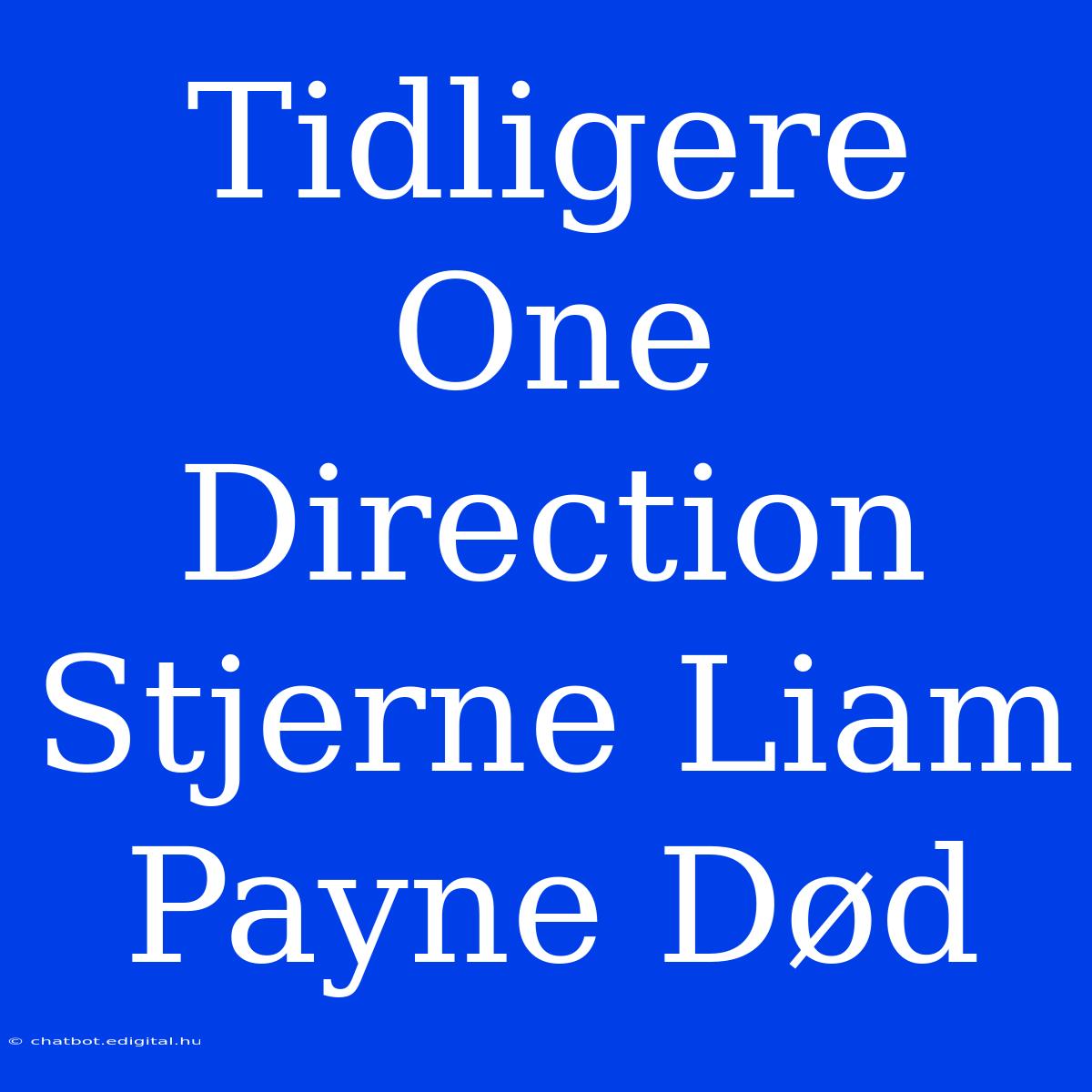 Tidligere One Direction Stjerne Liam Payne Død