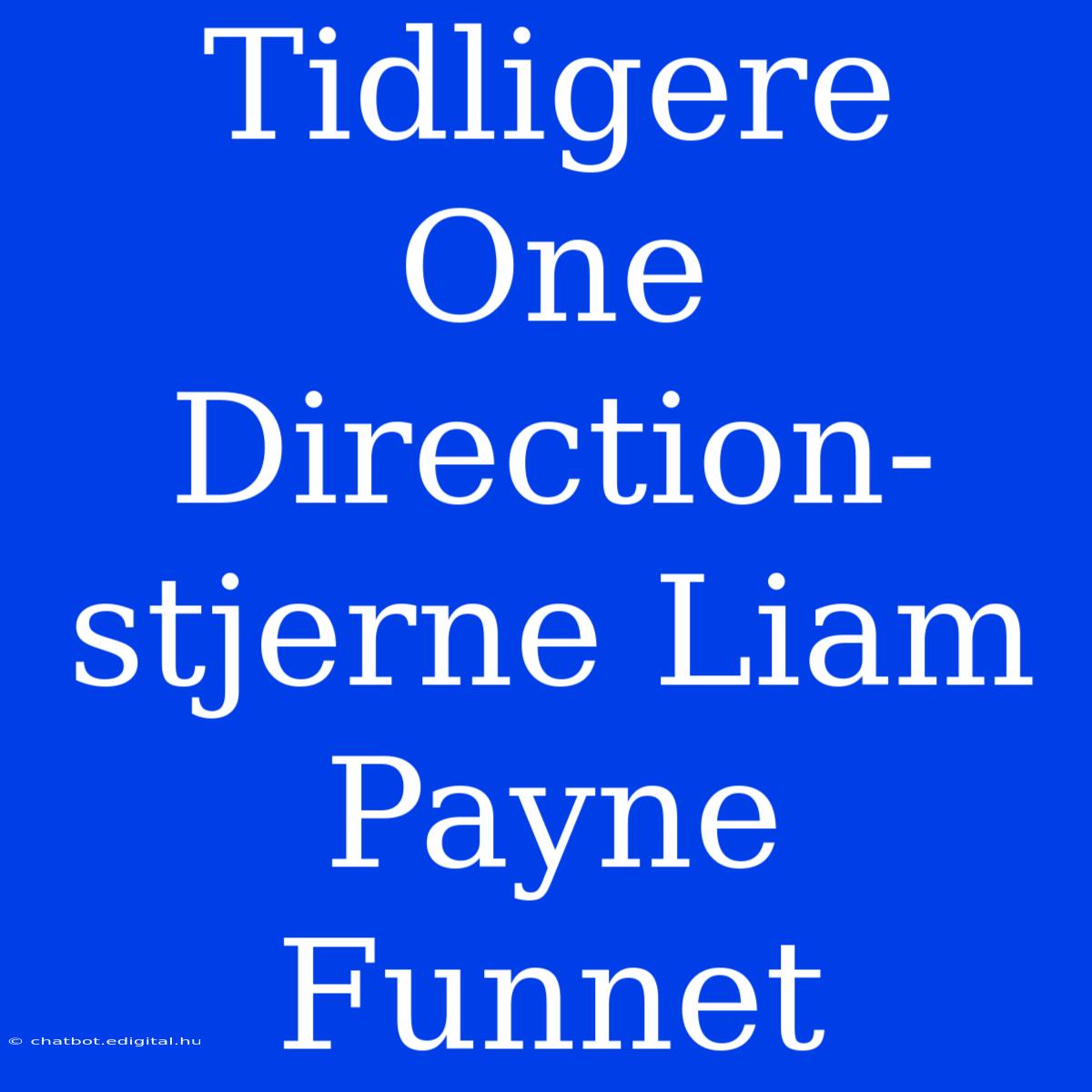 Tidligere One Direction-stjerne Liam Payne Funnet