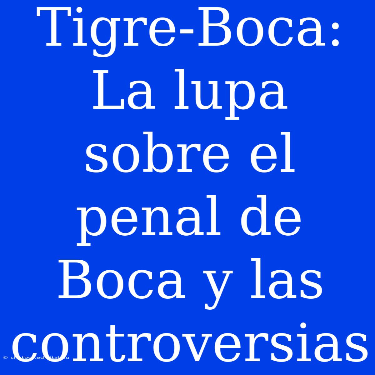 Tigre-Boca:  La Lupa Sobre El Penal De Boca Y Las Controversias 