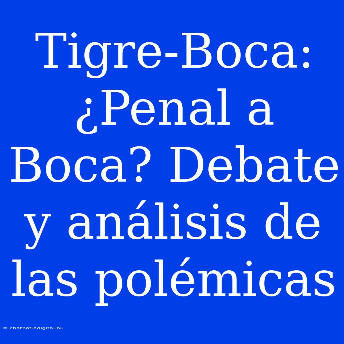 Tigre-Boca:  ¿Penal A Boca? Debate Y Análisis De Las Polémicas