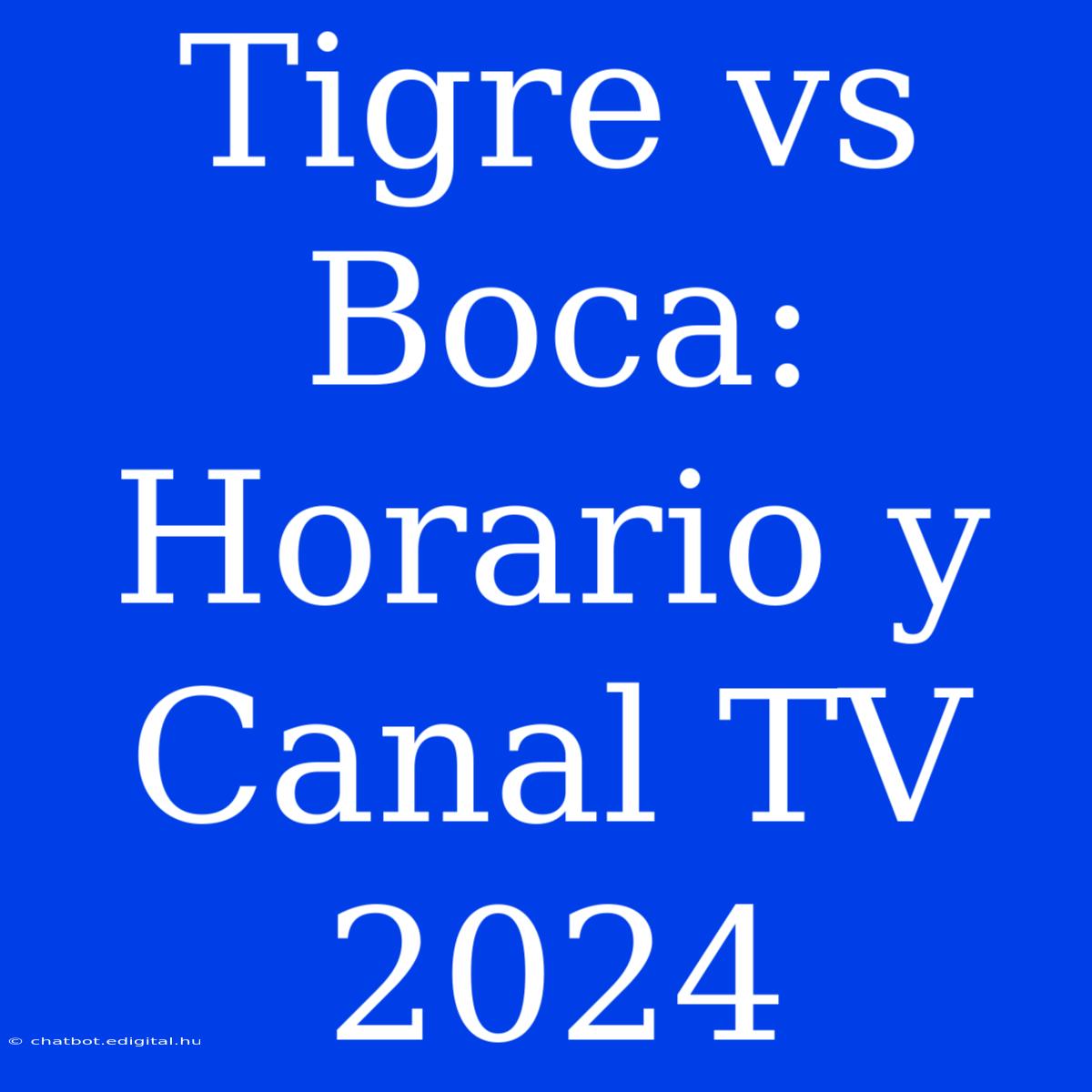 Tigre Vs Boca: Horario Y Canal TV 2024