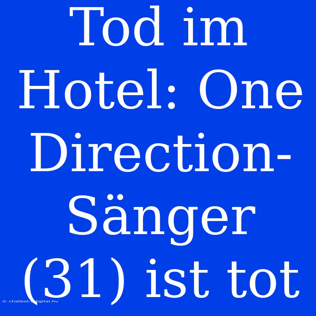 Tod Im Hotel: One Direction-Sänger (31) Ist Tot