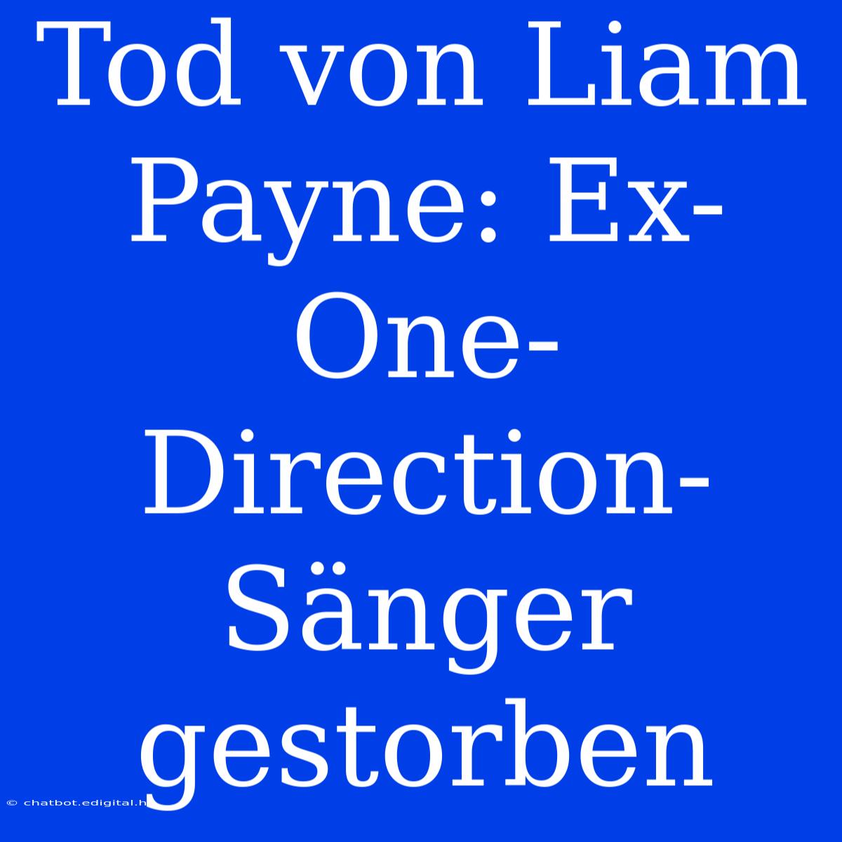 Tod Von Liam Payne: Ex-One-Direction-Sänger Gestorben