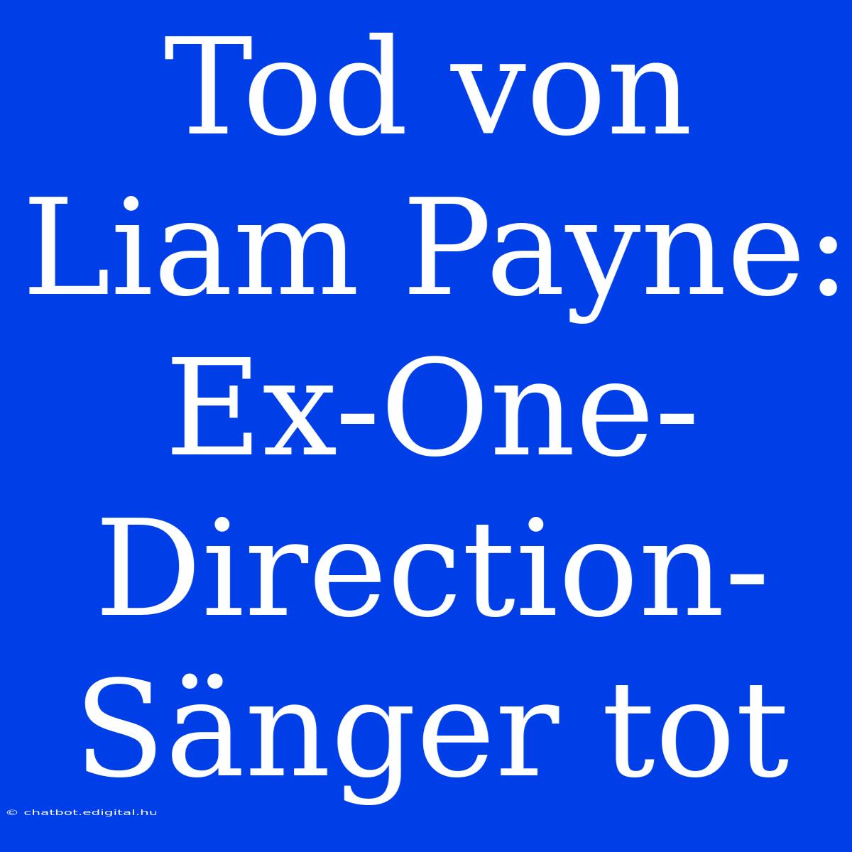 Tod Von Liam Payne: Ex-One-Direction-Sänger Tot