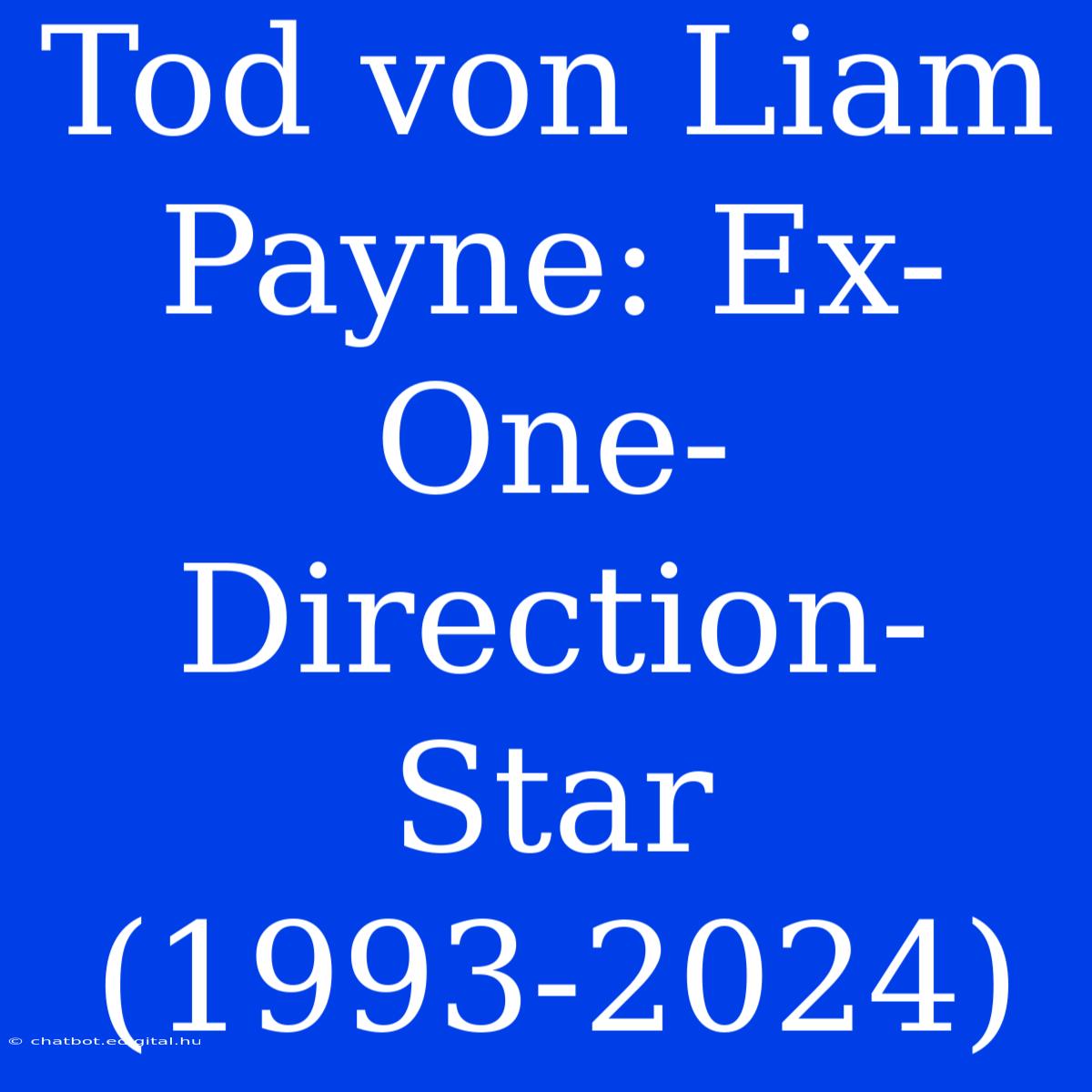 Tod Von Liam Payne: Ex-One-Direction-Star (1993-2024)