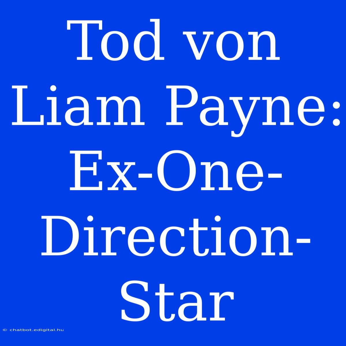 Tod Von Liam Payne: Ex-One-Direction-Star