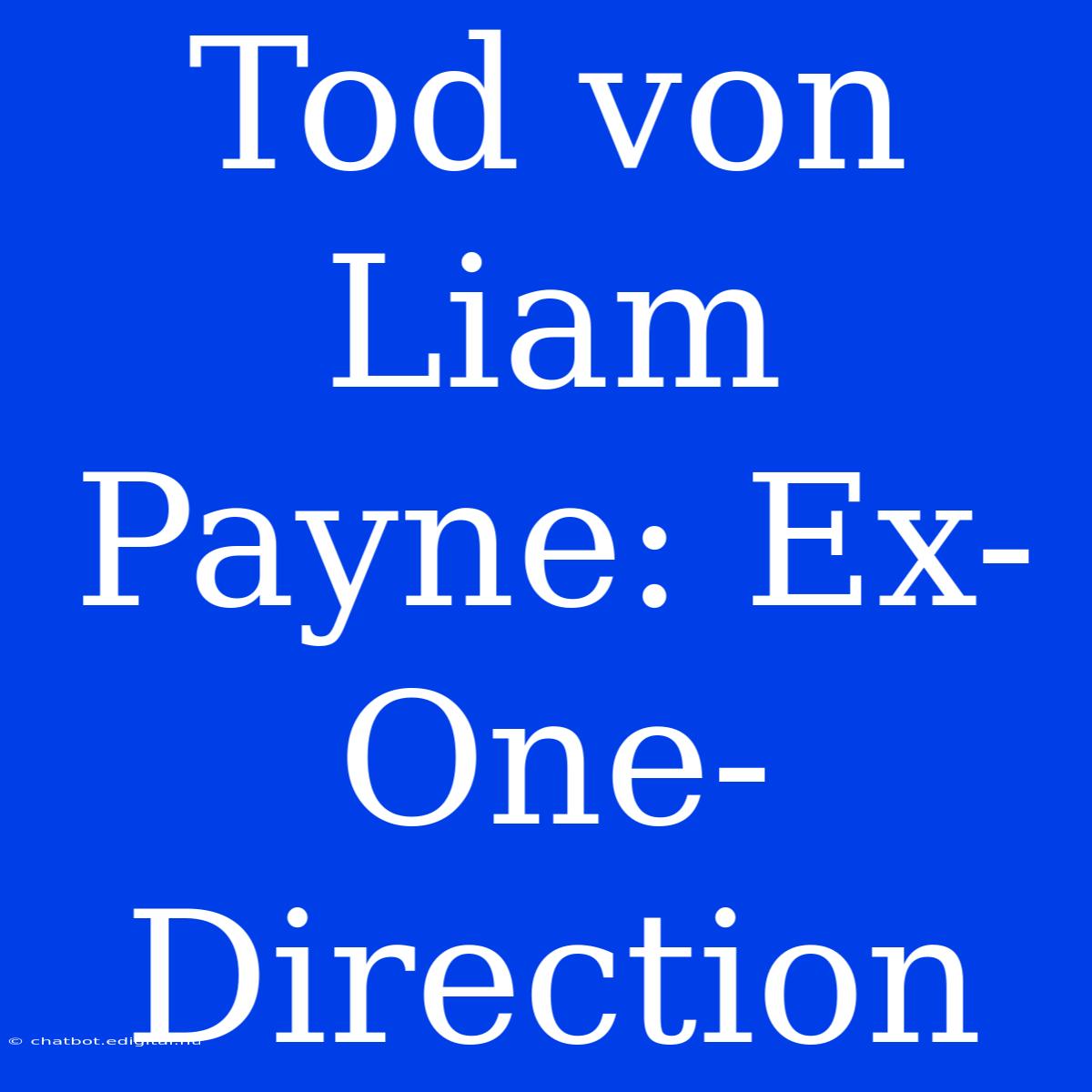 Tod Von Liam Payne: Ex-One-Direction