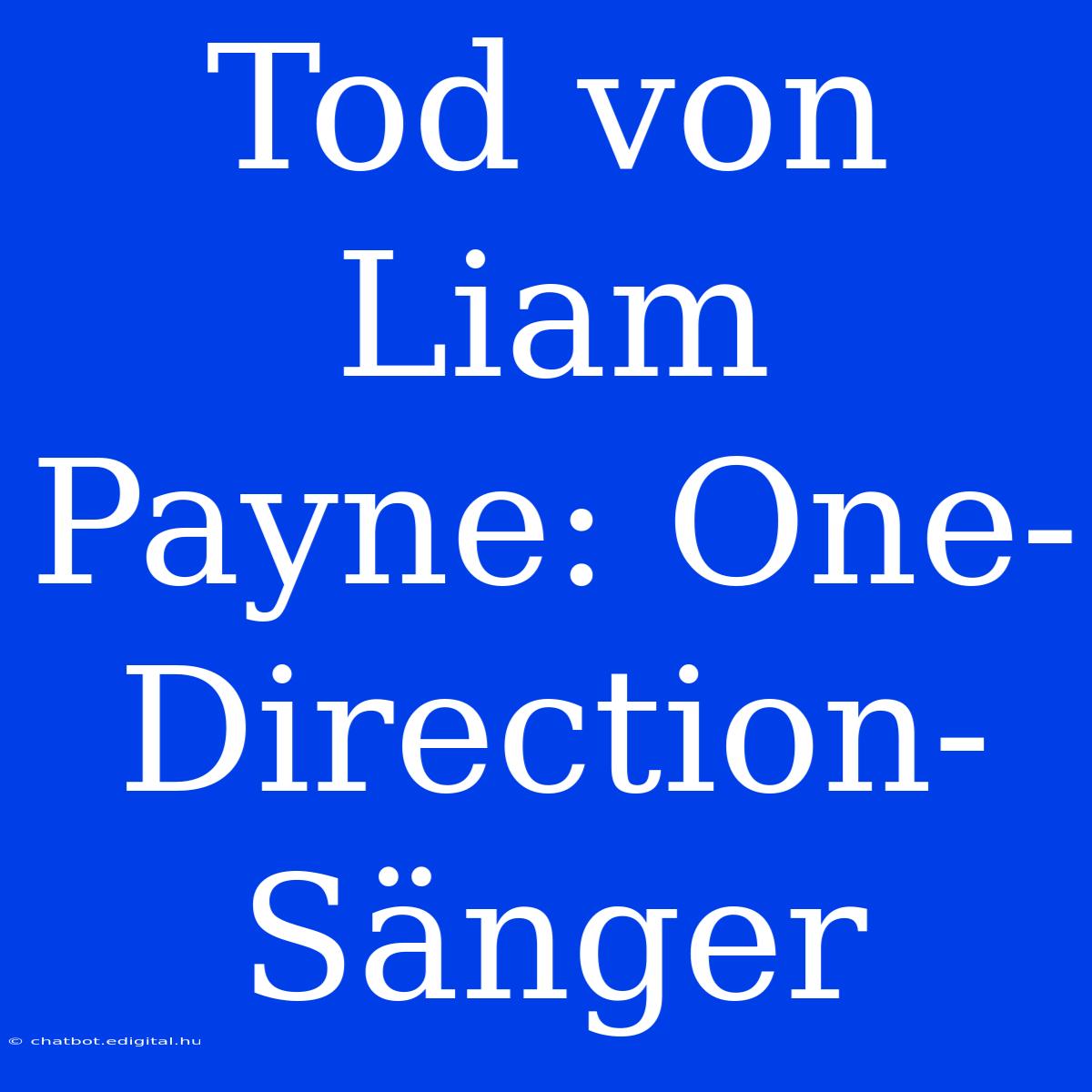 Tod Von Liam Payne: One-Direction-Sänger