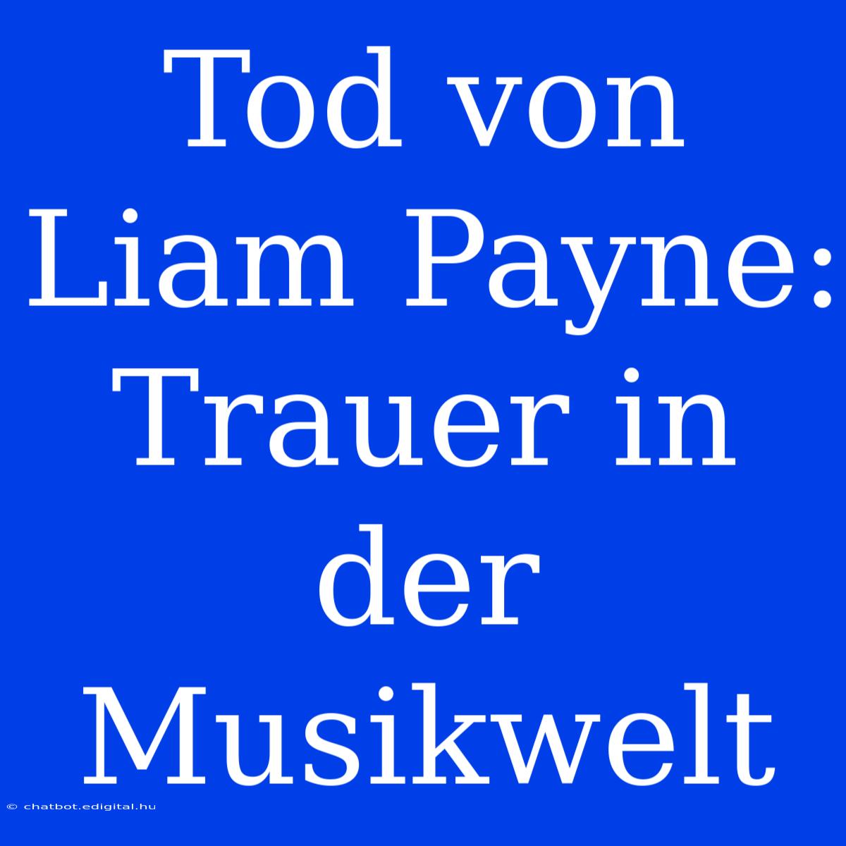 Tod Von Liam Payne: Trauer In Der Musikwelt