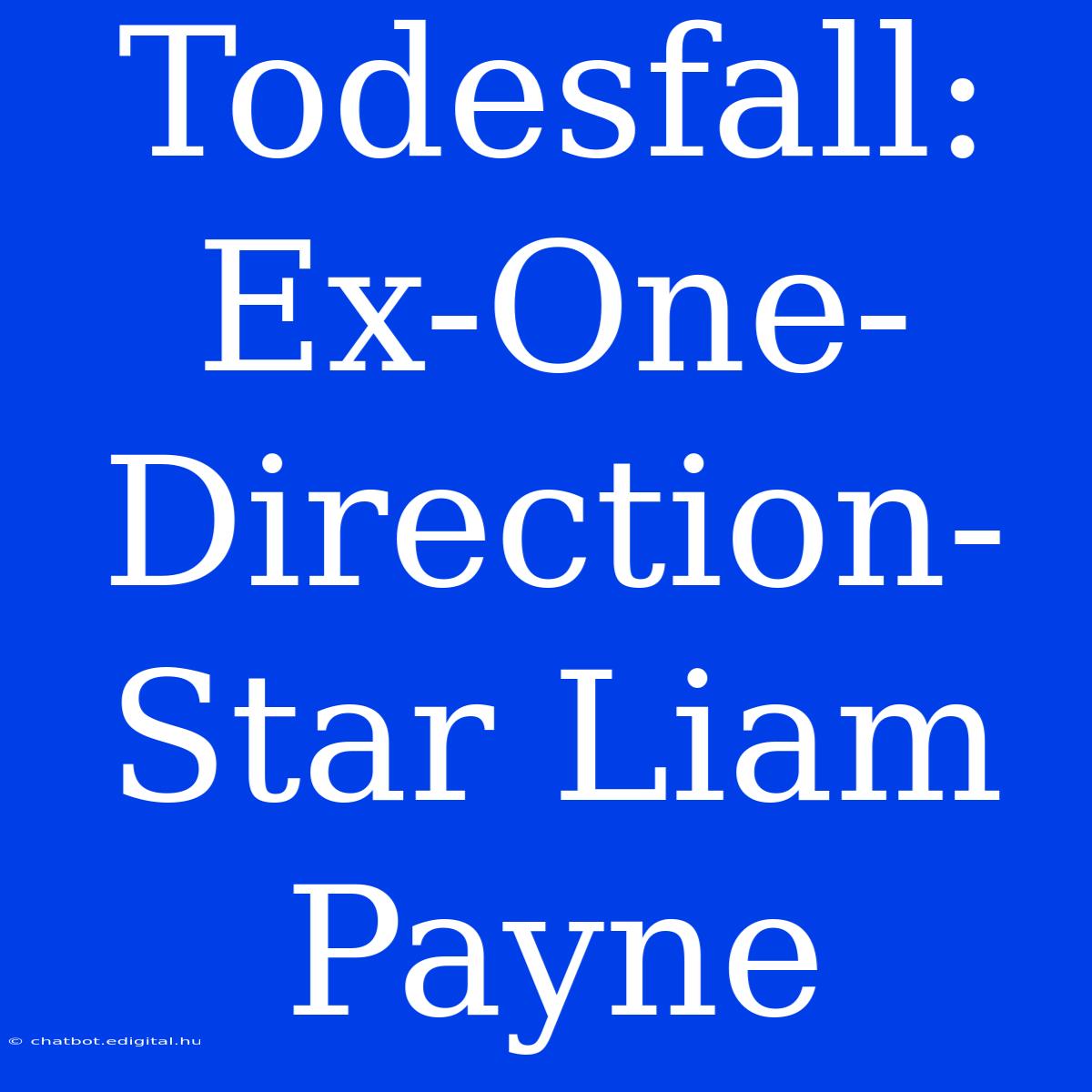 Todesfall: Ex-One-Direction-Star Liam Payne