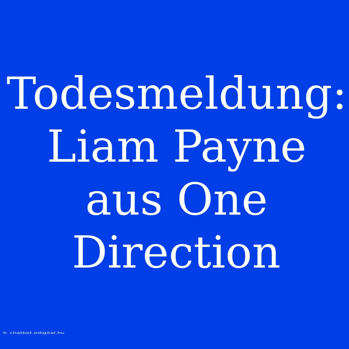 Todesmeldung: Liam Payne Aus One Direction