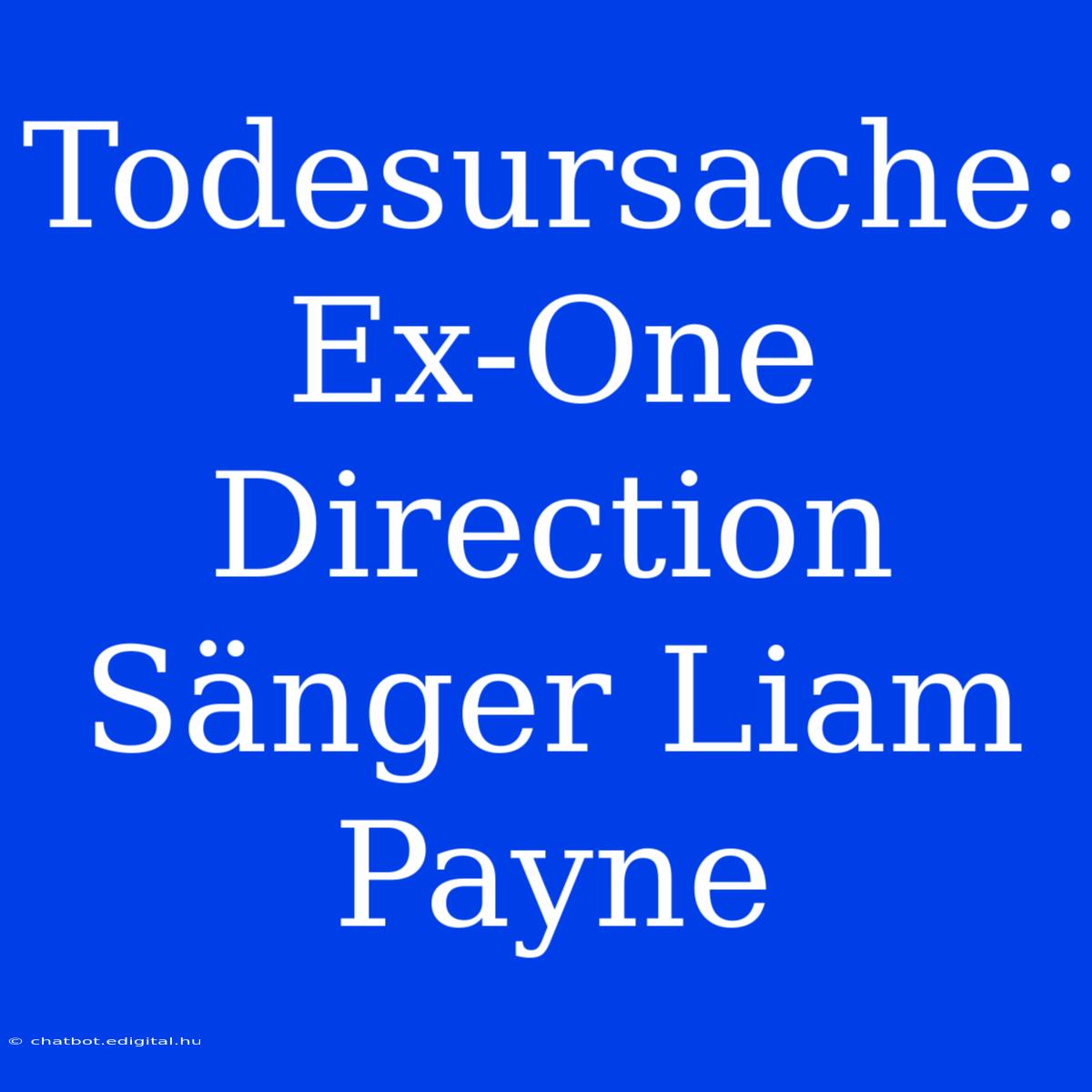 Todesursache: Ex-One Direction Sänger Liam Payne