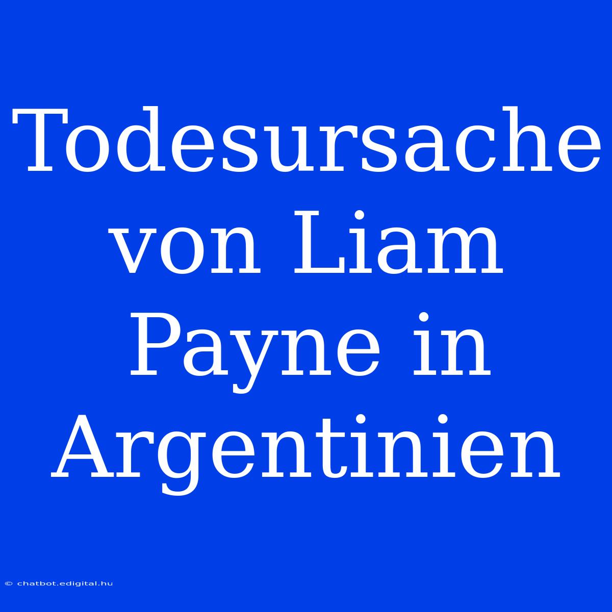 Todesursache Von Liam Payne In Argentinien