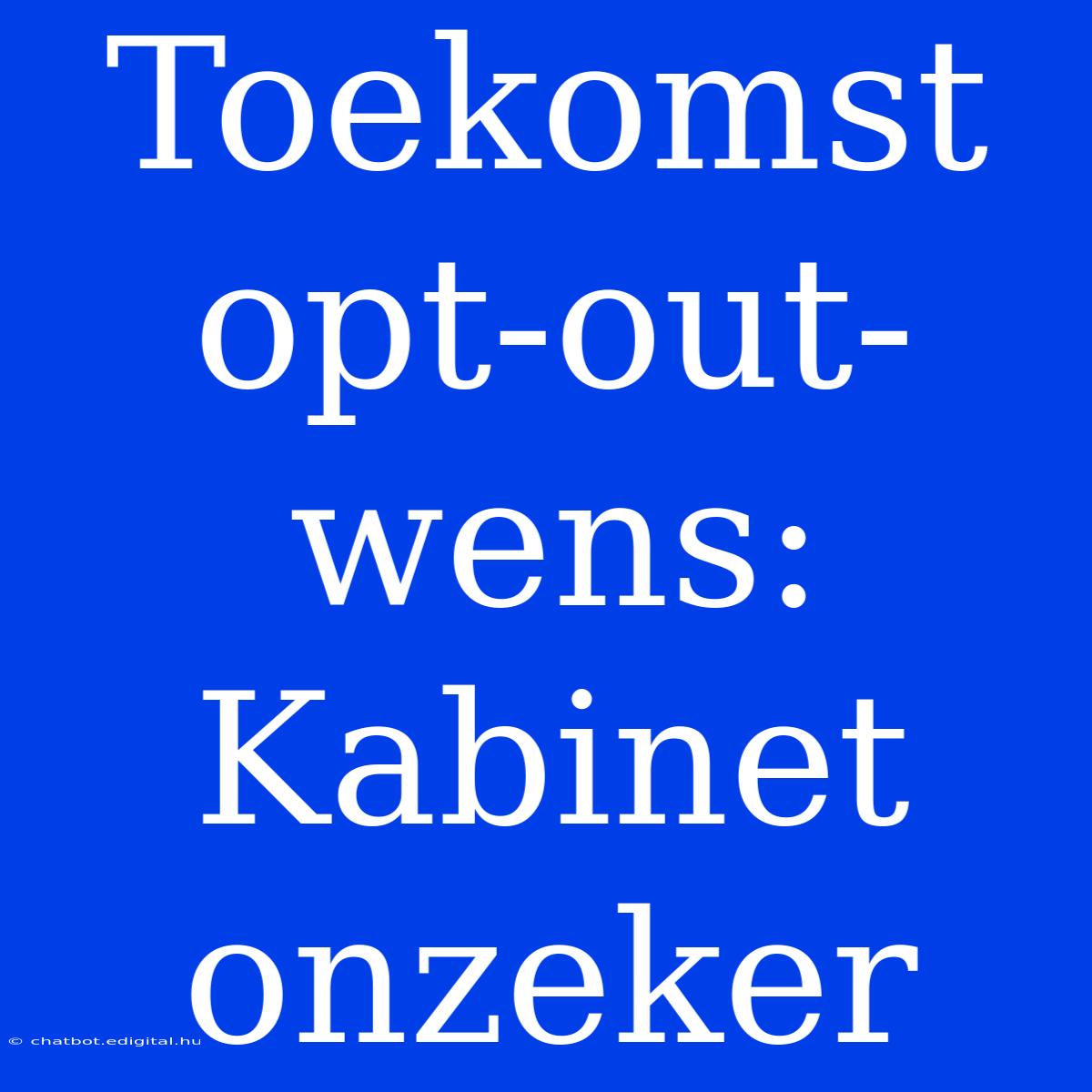 Toekomst Opt-out-wens: Kabinet Onzeker 