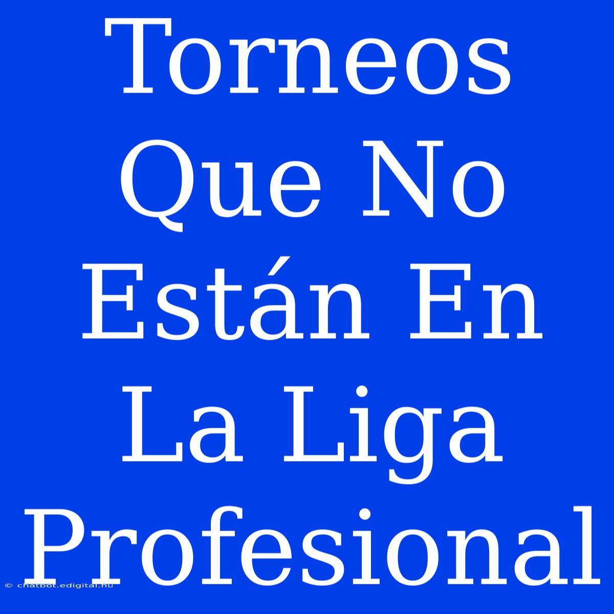 Torneos Que No Están En La Liga Profesional