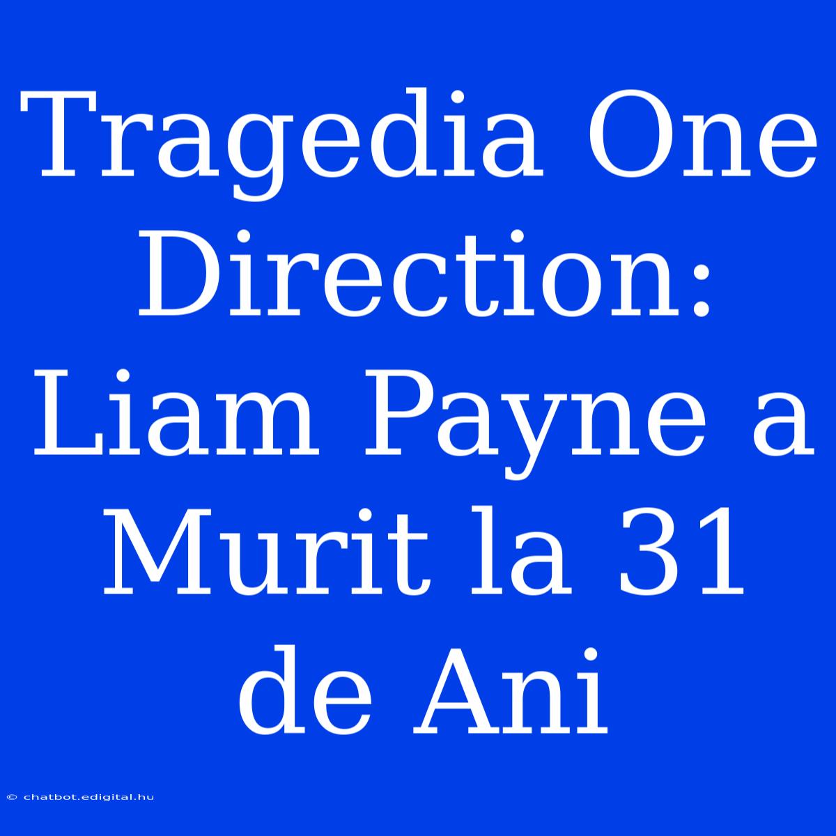 Tragedia One Direction: Liam Payne A Murit La 31 De Ani 