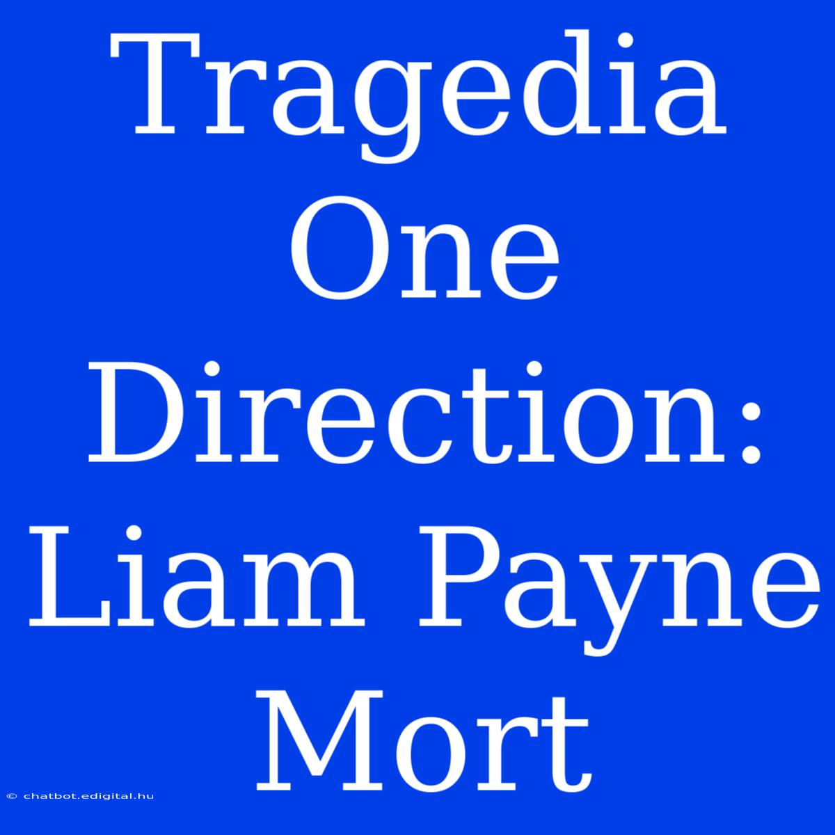 Tragedia One Direction: Liam Payne Mort