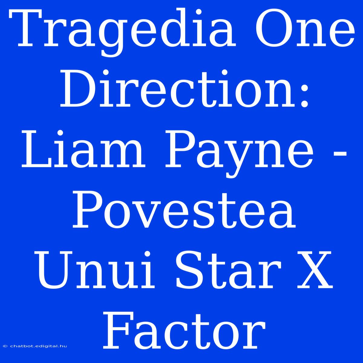 Tragedia One Direction: Liam Payne - Povestea Unui Star X Factor 