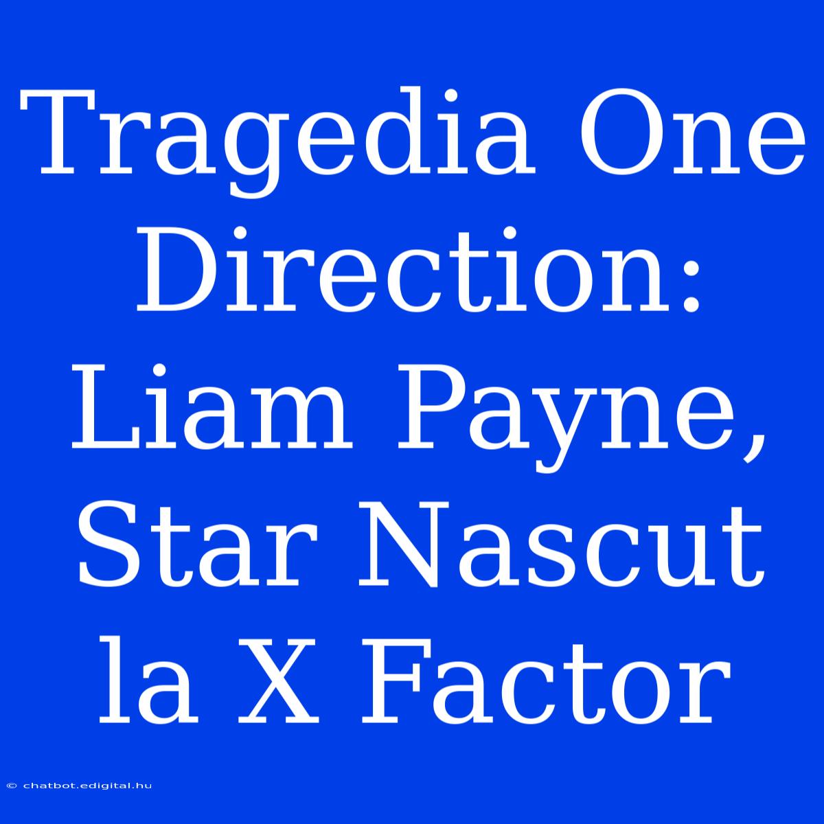 Tragedia One Direction: Liam Payne, Star Nascut La X Factor