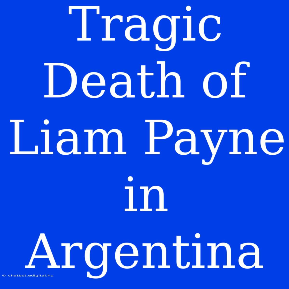 Tragic Death Of Liam Payne In Argentina