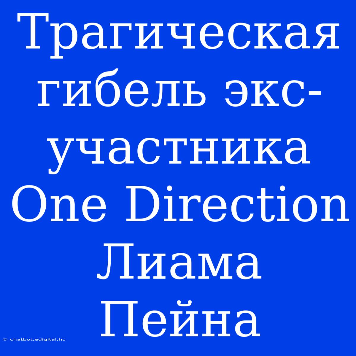 Трагическая Гибель Экс-участника One Direction Лиама Пейна