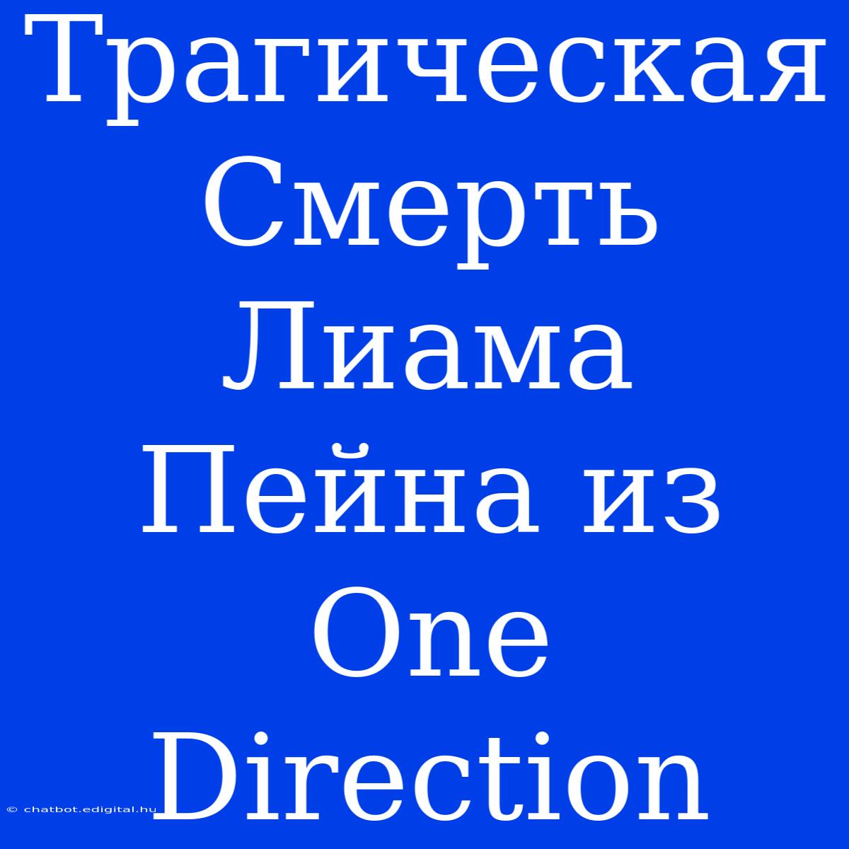 Трагическая Смерть Лиама Пейна Из One Direction 