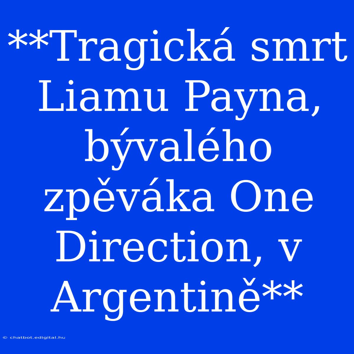 **Tragická Smrt Liamu Payna, Bývalého Zpěváka One Direction, V Argentině**