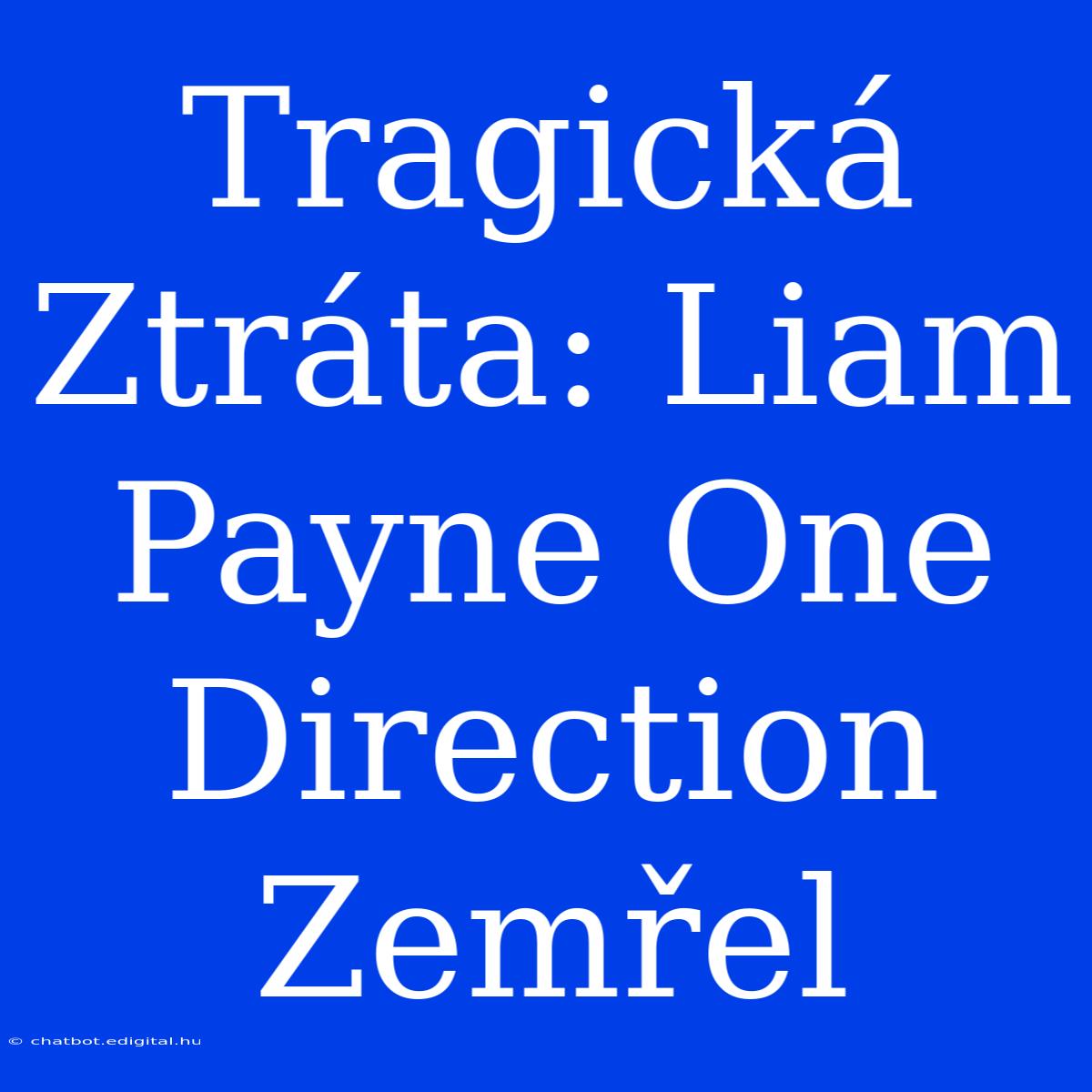 Tragická Ztráta: Liam Payne One Direction Zemřel