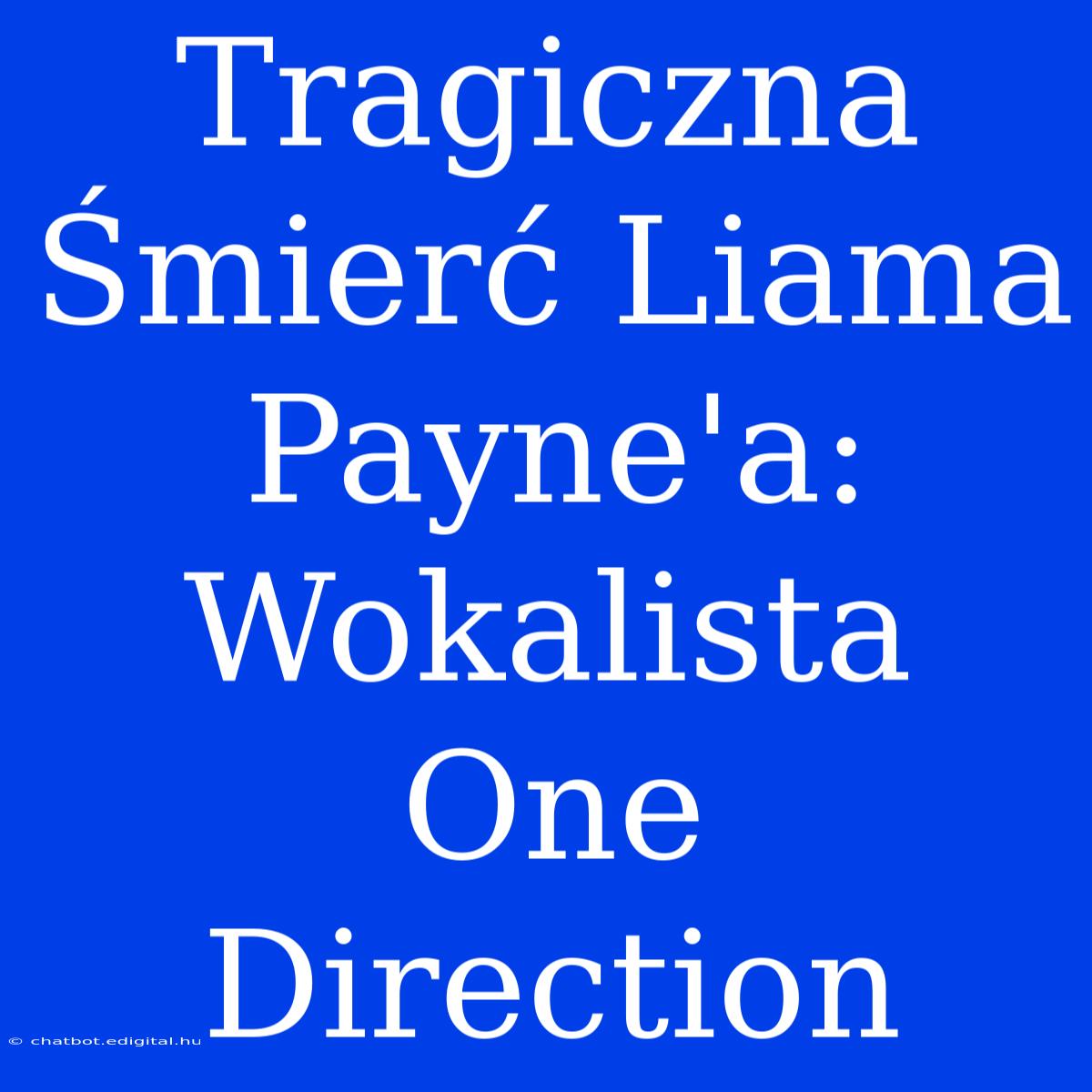 Tragiczna Śmierć Liama Payne'a: Wokalista One Direction