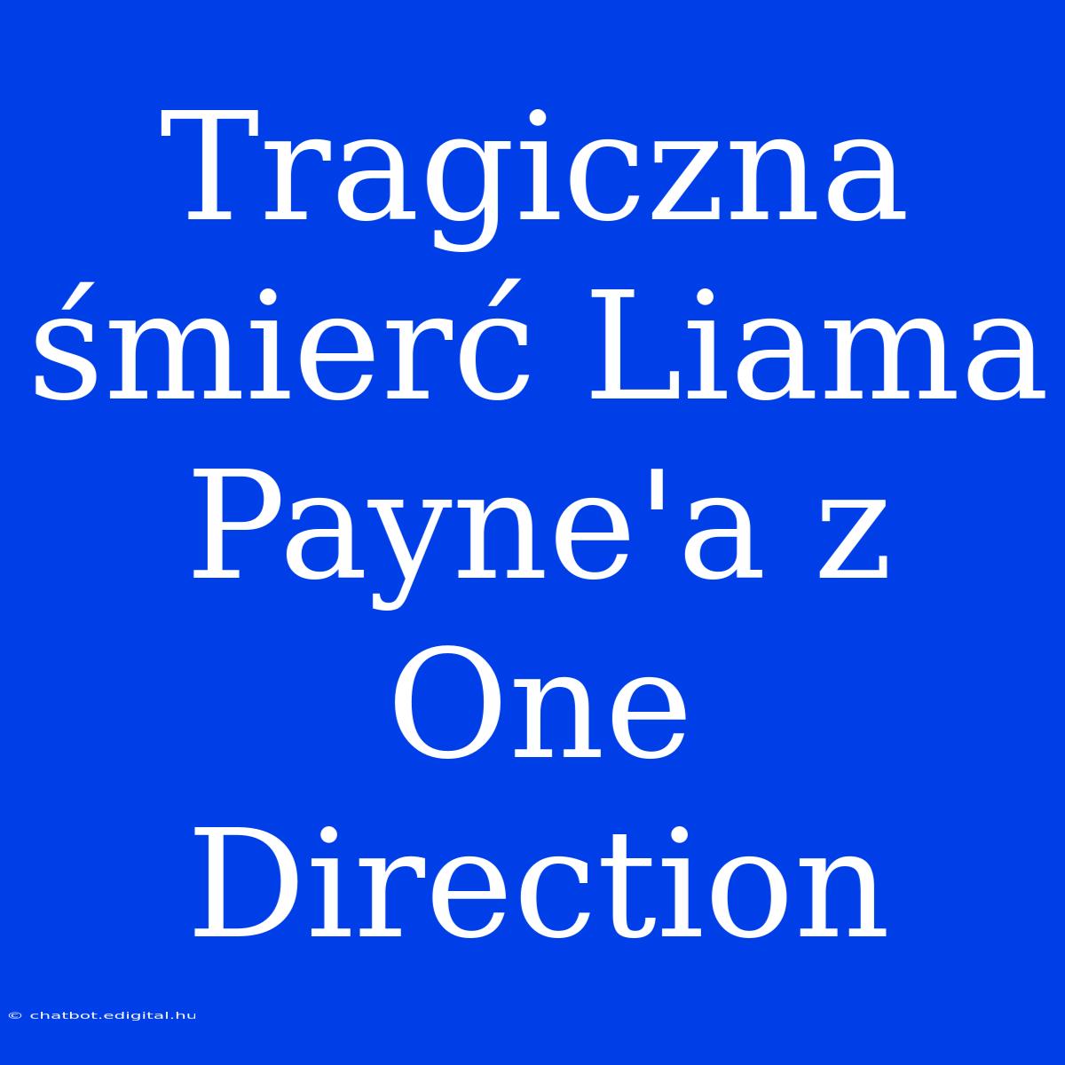 Tragiczna Śmierć Liama Payne'a Z One Direction