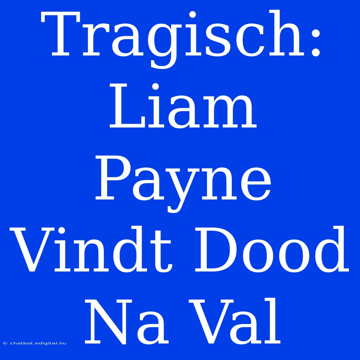 Tragisch: Liam Payne Vindt Dood Na Val