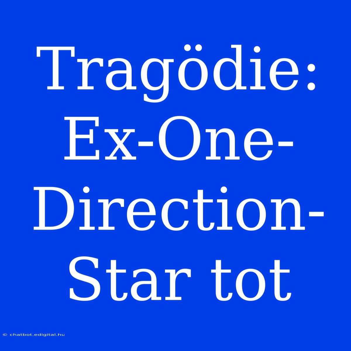 Tragödie: Ex-One-Direction-Star Tot