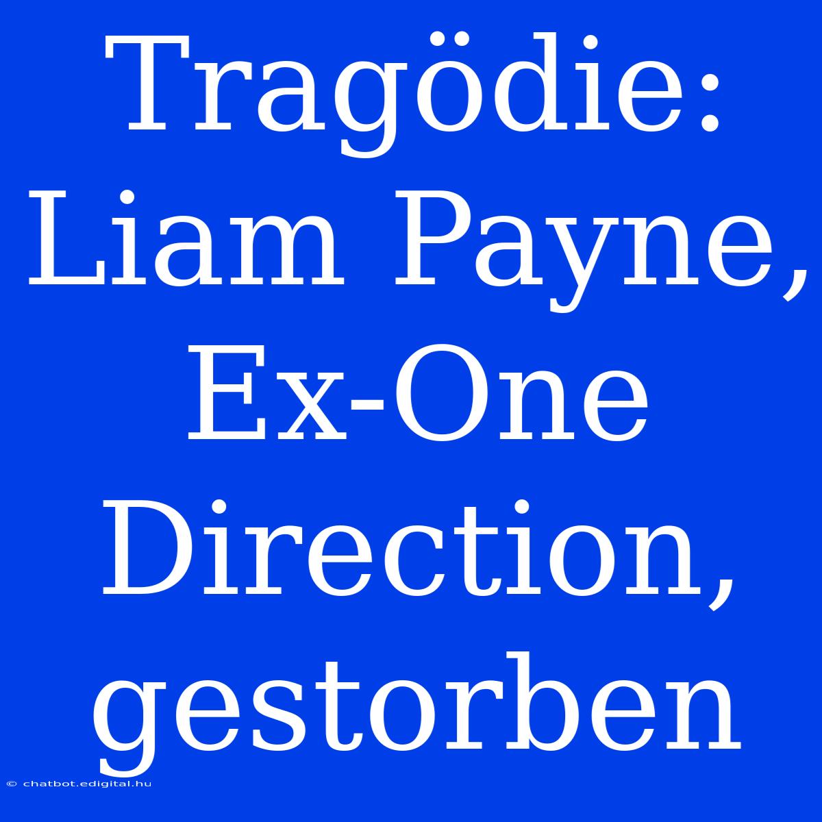 Tragödie: Liam Payne, Ex-One Direction, Gestorben