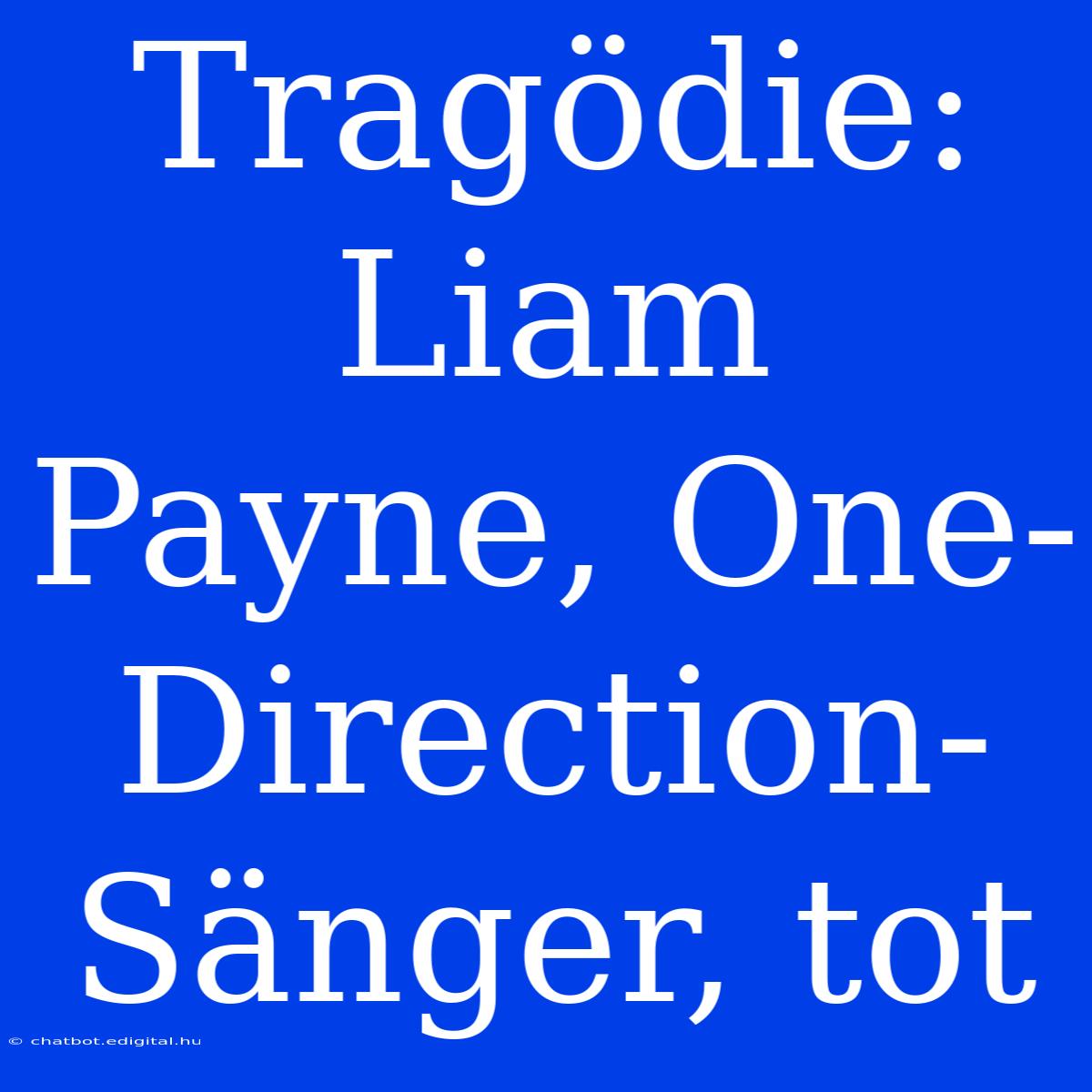 Tragödie: Liam Payne, One-Direction-Sänger, Tot