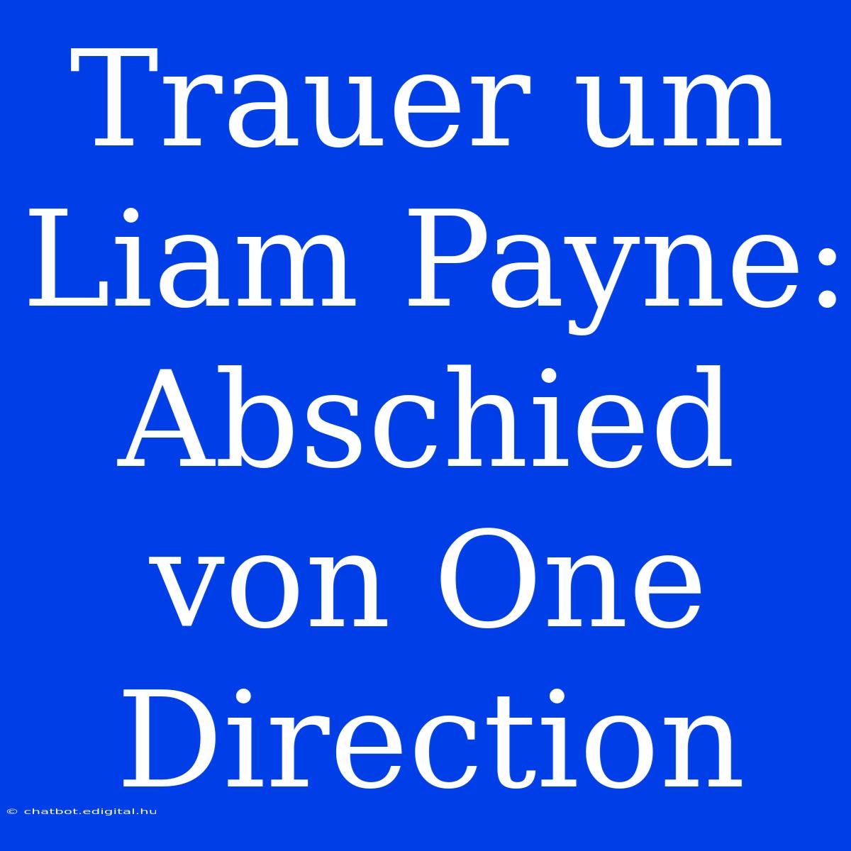 Trauer Um Liam Payne: Abschied Von One Direction