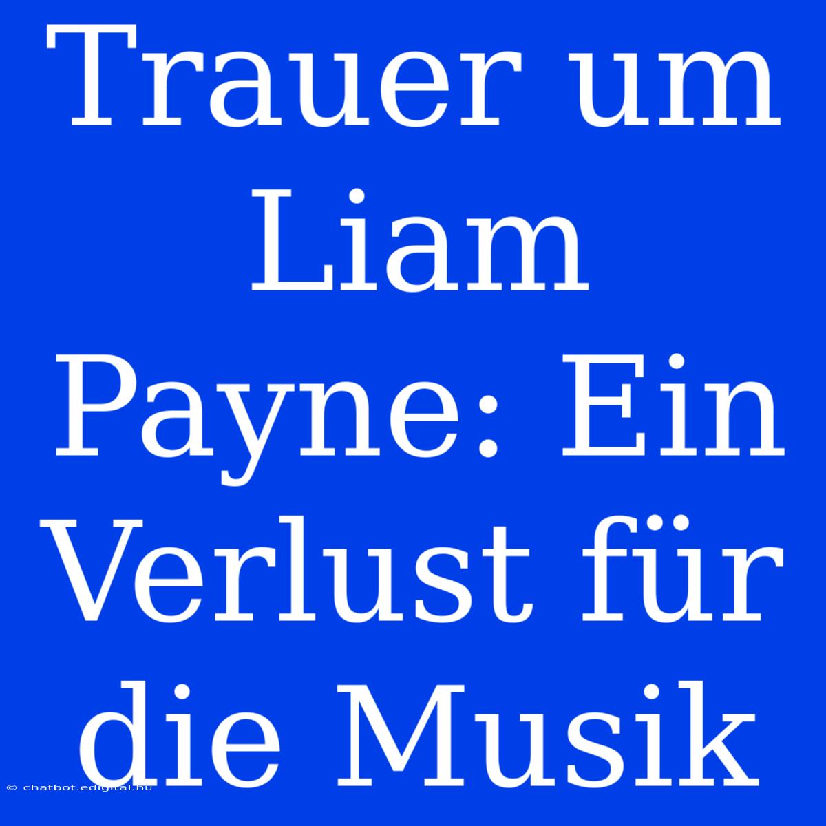 Trauer Um Liam Payne: Ein Verlust Für Die Musik